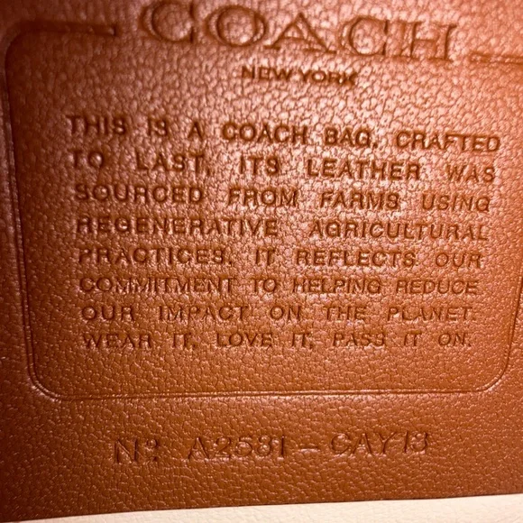 Coach Rexy Bag in Chalk - Picture 4 of 4